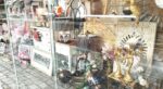 Mamì Sperlonga Concept Store